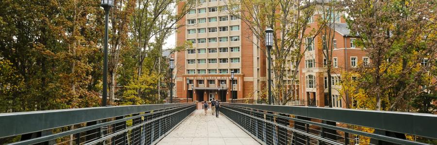 Res Hall Bridge