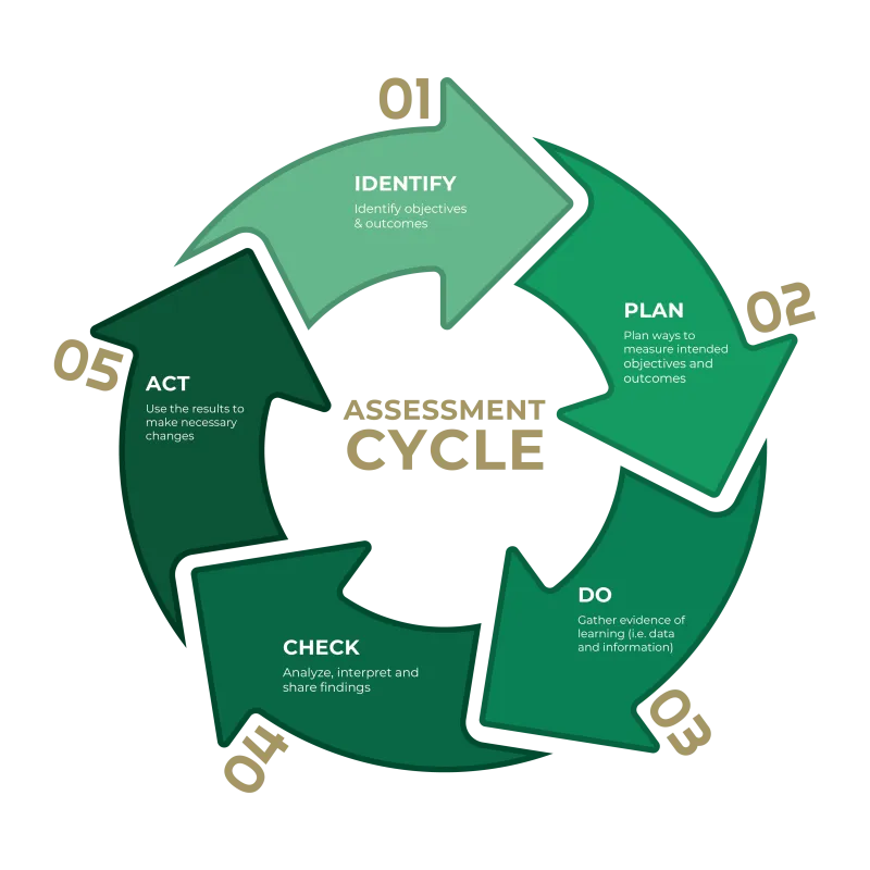 Assessment Cycle